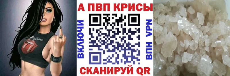 Alfa_PVP СК КРИС Туапсе