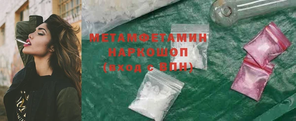 прущие грибы Семикаракорск