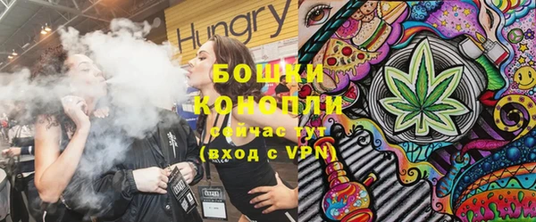мдпв Богданович