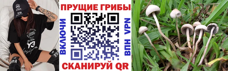 Галлюциногенные грибы MAGIC MUSHROOMS Туапсе